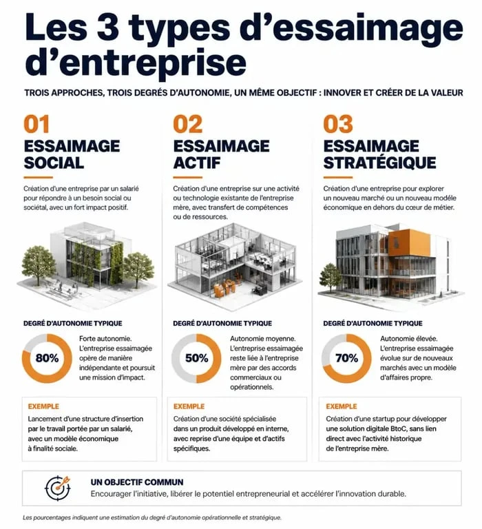 Infographie expliquant les trois types d'essaimage d'entreprise : social, actif et stratégique.
